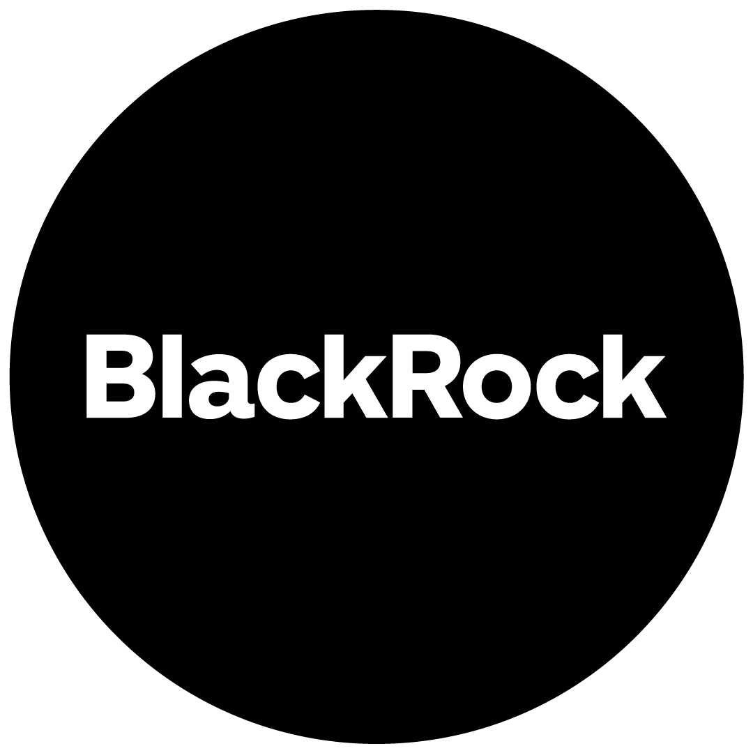 BlackRock Investment Institute logo